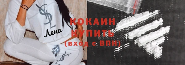 Альфа ПВП Инта