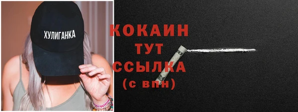 ПСИЛОЦИБИНОВЫЕ ГРИБЫ Инсар