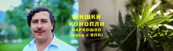 Альфа ПВП Инта