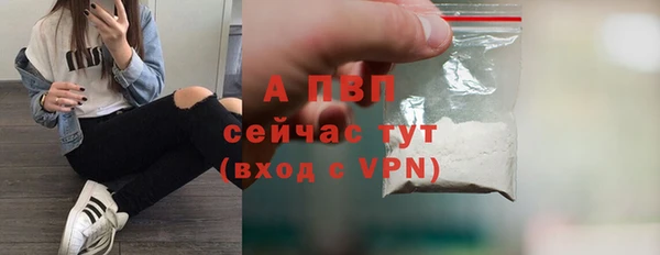 Альфа ПВП Инта