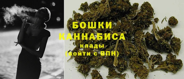 ПСИЛОЦИБИНОВЫЕ ГРИБЫ Инсар
