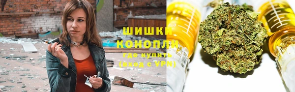 ПСИЛОЦИБИНОВЫЕ ГРИБЫ Инсар